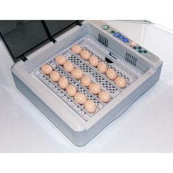 Инкубатор для яиц автоматический И-36_1